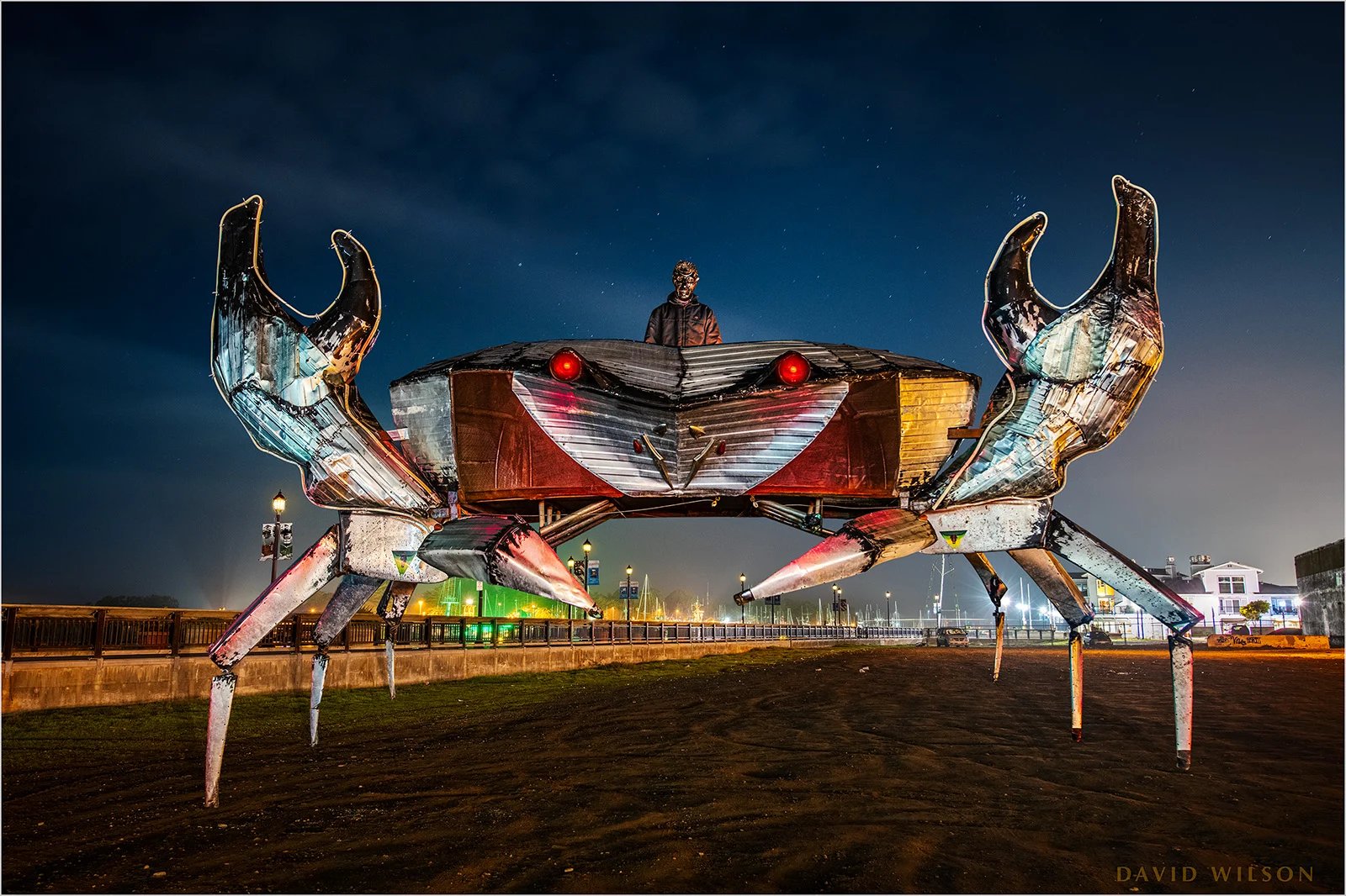 🦀 게의 집게발 조형물 (카니노츠메오부제) 이미지 8